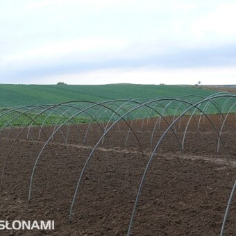 Konstrukcje tuneli do uprawy najwcześniejszych warzyw kapustnych