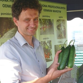 Julian Słowiński z Toma Seeds prezentuje ogórki odmiany Izmir F1