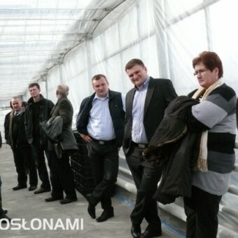 Spotkanie w szklarni państwa Smoleniów, 18 lutego 2012 