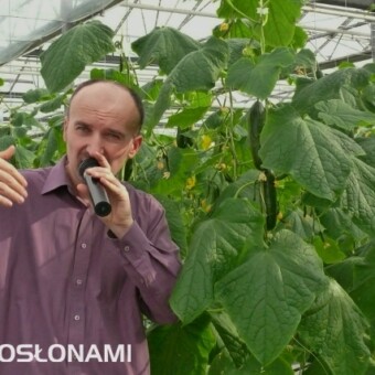 O odmianach i uprawie mówił Wojciech Wasiak z firmy Rijk Zwaan