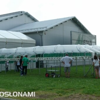 Obok siedziby firmy Metazet przygotowano demonstracyjną plantację truskawek na rynnach pod daszkami