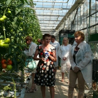 Mimo 35 stopniowego upału zainteresowani uprawą odmiany Brightina F1 "zaliczyli" wizytę w szklarni, na pierwszym planie Urszula Michalak i Wiesława Janiak 