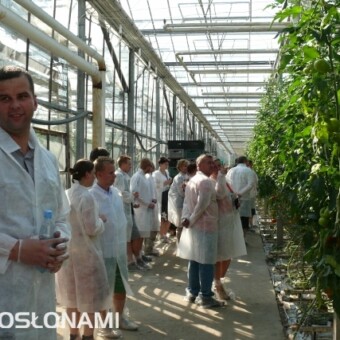 Wizyta w szklarni - w spotkaniu uczestniczyli nie tylko ogrodnicy z rejonu Kalisza, ale także z okolic Grudziądza (pierwszy z lewej Tomasz Gargol, obok Zenon Małek - przedstawiciel Syngety na północy Polski)...