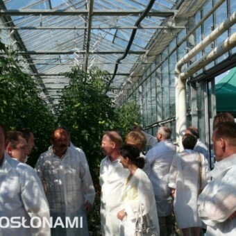 ... oraz spod Warszawy - w środku Karol Laskowski, w którego szklarniach miał miejsce majowy pokaz odmian firmy Syngenta