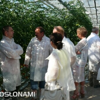 Wojciech Juńczyk przekazał wiele informacji dotyczących uprawy prezentowanej odmiany