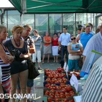 Miniwystawa owoców odmian wielkoowocowych i standardowych