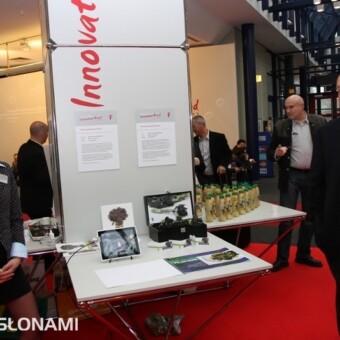 Purpurowe brokuły łodygowe, fot. 1-3 T. Werner