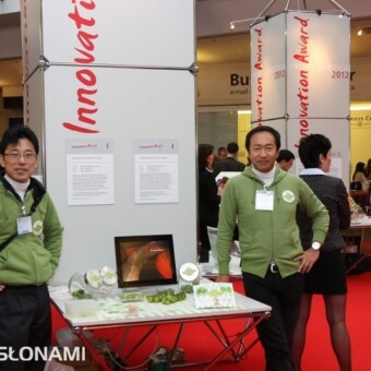 Pomidory Sungreen - w fazie dojrzałości konsumpcyjnej mają zieloną barwę