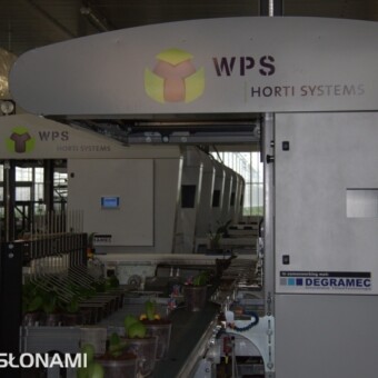 Robot Speed-e-flex służący do sortowania storczyków, fot. WPS Hortisystems