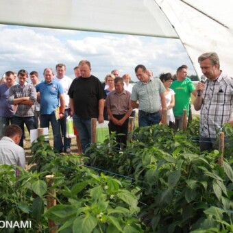 O uprawie papryki w tunelach foliowych mówił Krzysztof Grzyb, dystrybutor nasion De Ruiter Seeds i zarazem doświadczony producent tego warzywa 