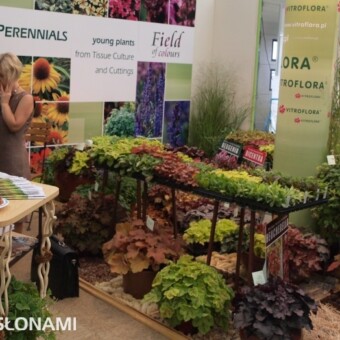 Firma Vitroflora po raz pierwszy wzięła udział w targach Plantarium  (fot. A. Cecot)