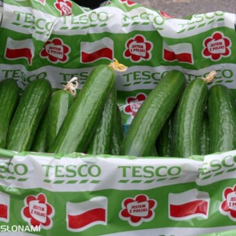 Pacto F1 - owoce klasy I przygotowane do sprzedaży w Tesco