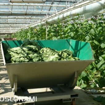 Wózek "wywrotka" do wywożenia liści usuwanych z roślin, fot. 1-14 A. Wize