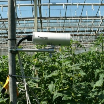 Rośliny są pod stałą obserwacją kamery - co ułatwia prowadzenie uprawy