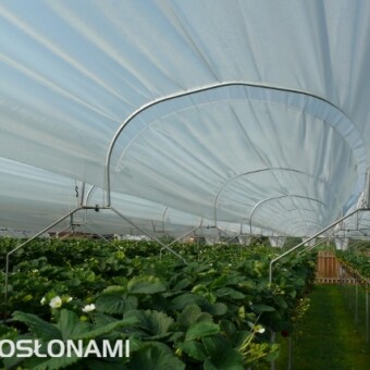 Folia ułożona jest na konstrukcji z metalowych prętów