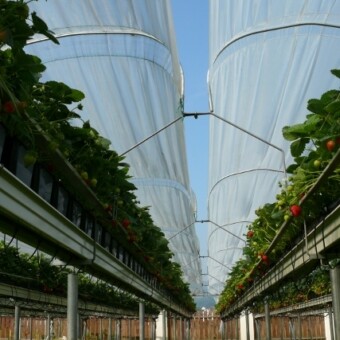 Rynny umieszczone są na metalowych słupach