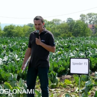 Na temat prezentowanych odmian mówił Piotr Prasołek