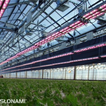 Instalacja lamp LED firmy Valoya