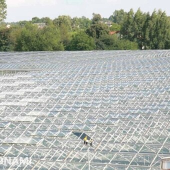 1,5-hektarowe szklarnie w Jastkowie