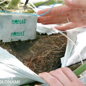 Maty z wełny mineralnej z dodatkiem substancji organicznej