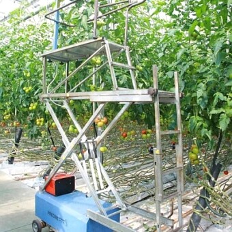 Wózek do pielęgnacji pomidorów, z napędem elektrycznym (Precimet)