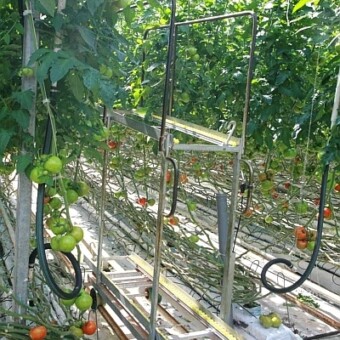 Wózek do zbiorów (Precimet)