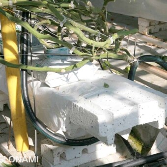 Maty układane są na styropianowych rynnach