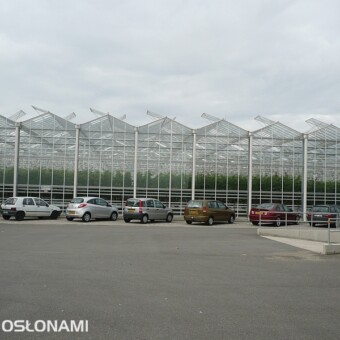Szklarnie firmy Tomaholic BV