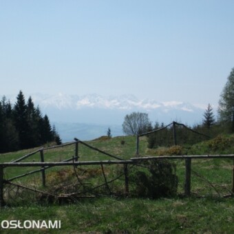 Bardzo ładna pogoda