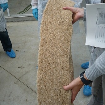 Testowane podłoże z włókien lnianych, fot. 1-5 J. Firla