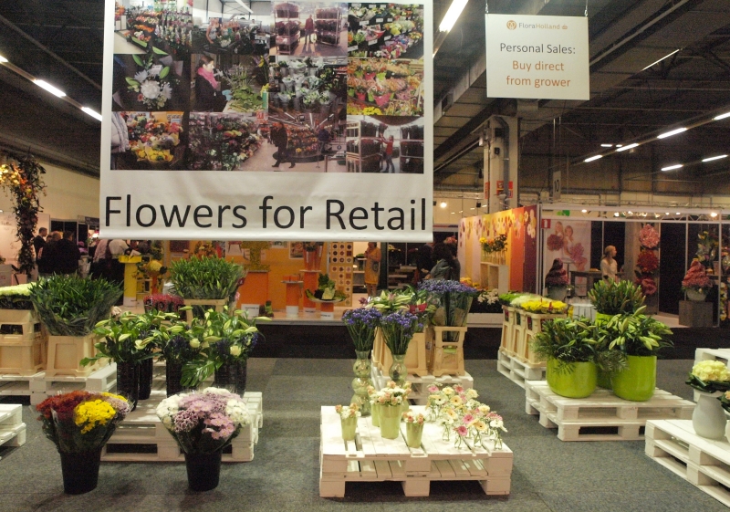 fot. 3. Jedna z ekspozycji ukazujących w Aalsmeer asortyment oferowany sprzedawcom detalicznym 